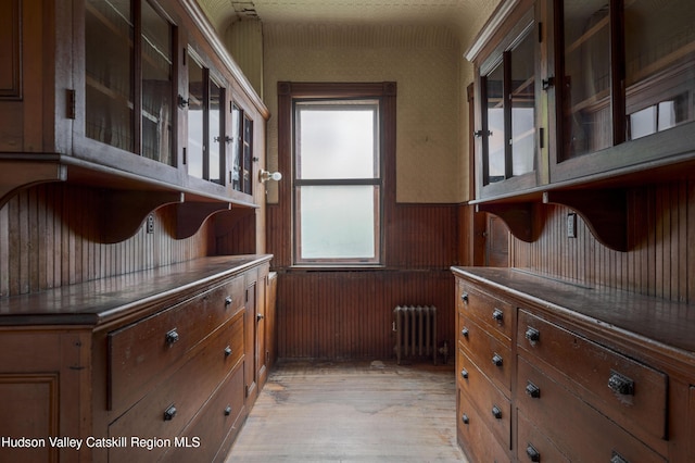 12 W Chestnut St, Kingston, NY 12401 - kitchen featuring radiator heating unit, light wood-style flooring, wainscoting, and glass insert cabinets