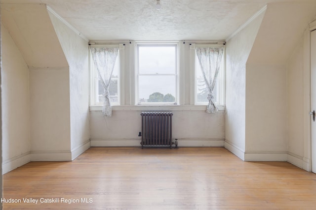 12 W Chestnut St, Kingston, NY 12401 - additional living space featuring radiator, light wood-style flooring, a textured ceiling, and baseboards