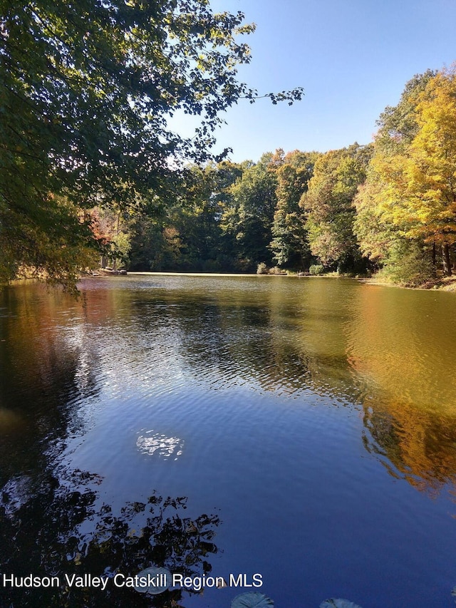 36 Susi Oval, Modena, NY 12548 - water view with a heavily wooded area