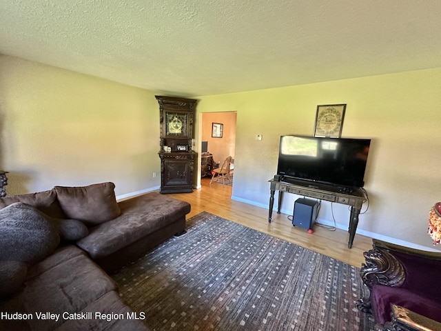 36 Susi Oval, Modena, NY 12548 - living area featuring wood finished floors, baseboards, a fireplace, and a textured ceiling