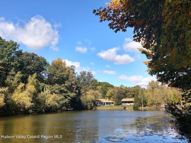 36 Susi Oval, Modena, NY 12548 - water view featuring a heavily wooded area