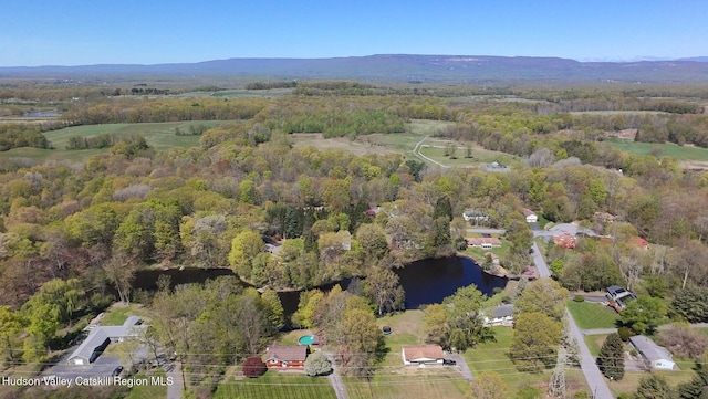 36 Susi Oval, Modena, NY 12548 - view of property location featuring a forest and a large body of water