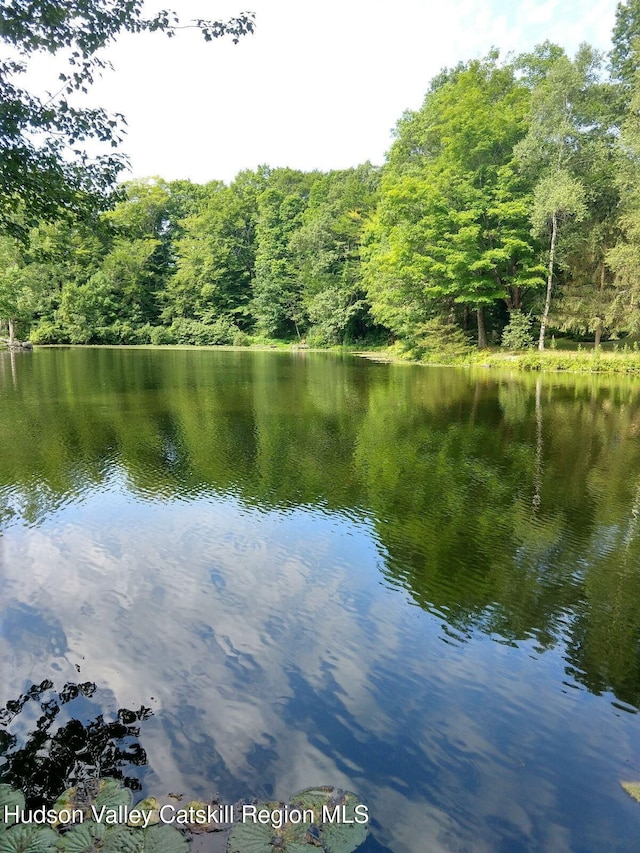 36 Susi Oval, Modena, NY 12548 - water view with a heavily wooded area