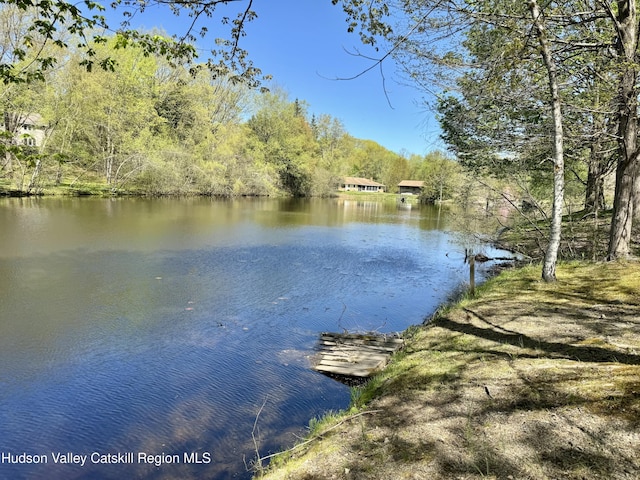 36 Susi Oval, Modena, NY 12548 - water view with a heavily wooded area