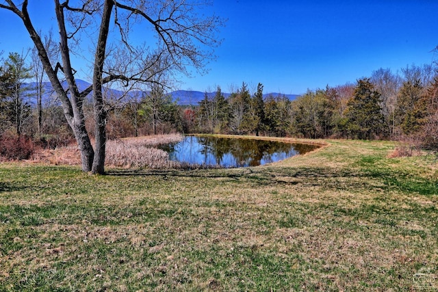 10345 Rte 32, Greenville, NY 12431 - water view featuring a mountain backdrop and a forest