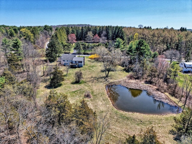 10345 Rte 32, Greenville, NY 12431 - view of subject property featuring a forest and a nearby body of water