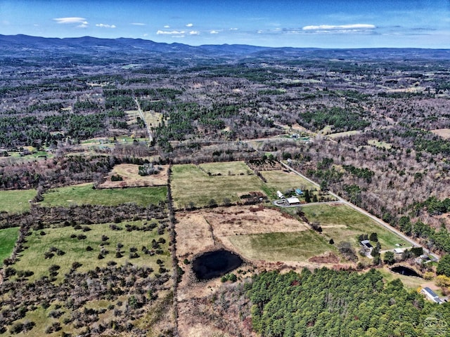 10345 Rte 32, Greenville, NY 12431 - drone / aerial view of a mountainous background