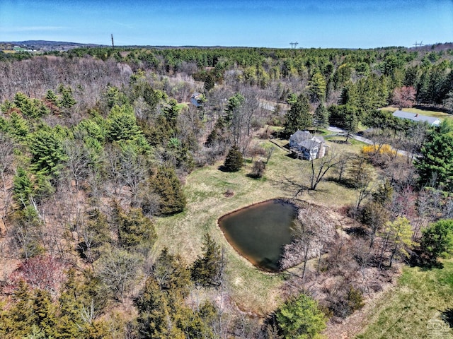 10345 Rte 32, Greenville, NY 12431 - drone / aerial view of a heavily wooded area