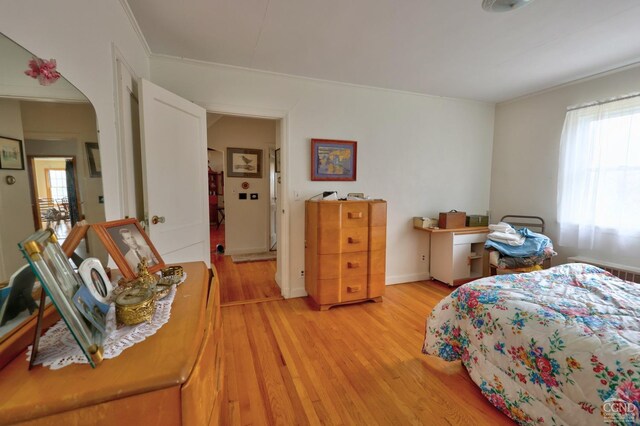 10345 Rte 32, Greenville, NY 12431 - bedroom with light wood finished floors, crown molding, and baseboards