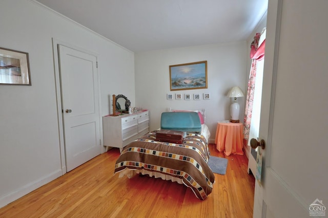 10345 Rte 32, Greenville, NY 12431 - bedroom with wood finished floors and ornamental molding