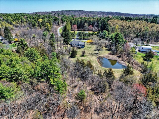 10345 Rte 32, Greenville, NY 12431 - aerial view of a forest and a large body of water