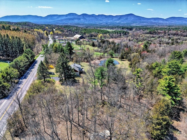 10345 Rte 32, Greenville, NY 12431 - aerial view of property's location with a mountain backdrop