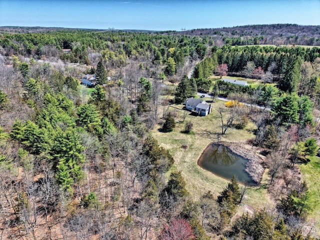 10345 Rte 32, Greenville, NY 12431 - bird's eye view of a heavily wooded area and a large body of water