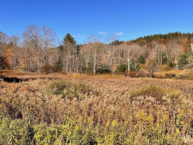 61 Dugway Rd, Hillsdale, NY 12529 - photo 4