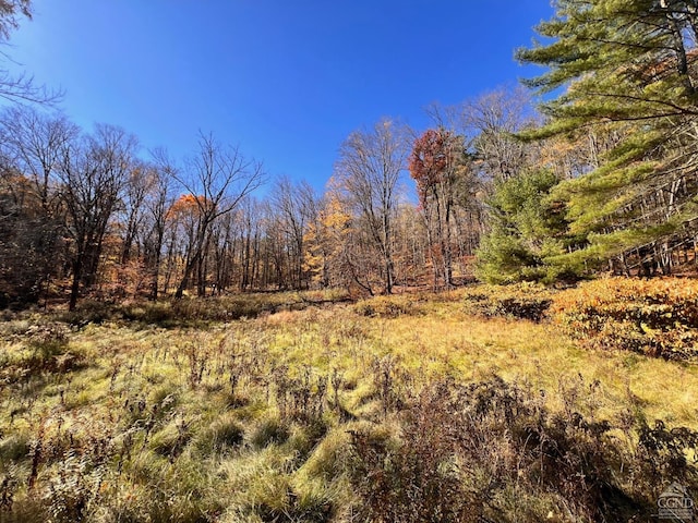 61 Dugway Rd, Hillsdale, NY 12529 - photo 13