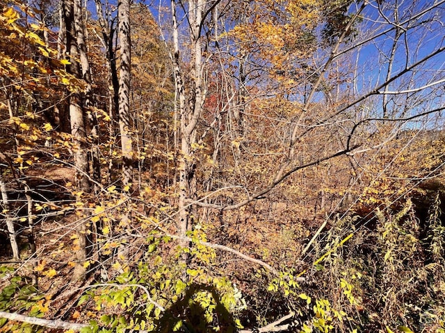 61 Dugway Rd, Hillsdale, NY 12529 - photo 5