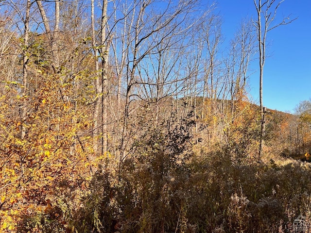 61 Dugway Rd, Hillsdale, NY 12529 - photo 1