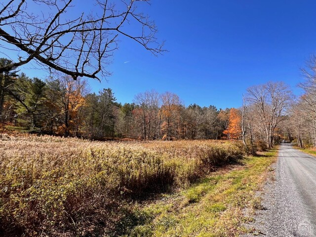 61 Dugway Rd, Hillsdale, NY 12529 - photo 8