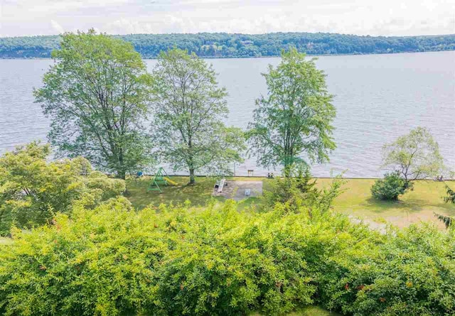 birds eye view of property with a water view