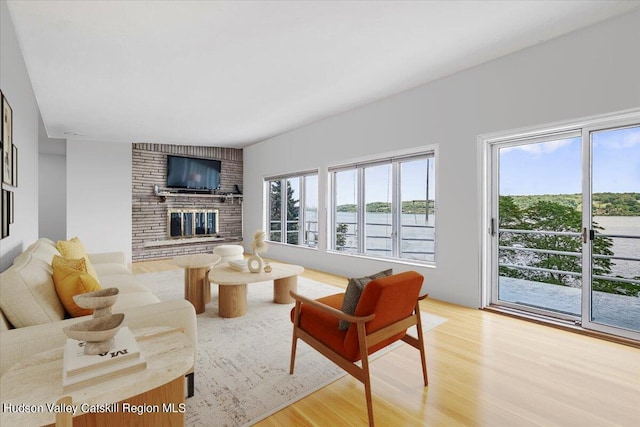 living room with hardwood / wood-style floors and a fireplace