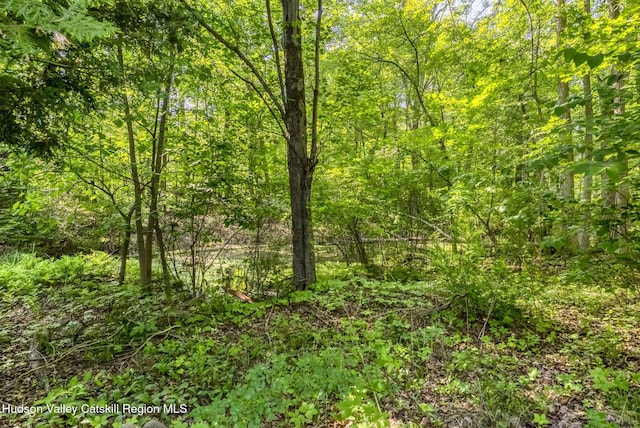 872-874 Rte 212, Saugerties, NY 12477 - photo 48