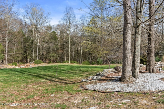108 Wilkins Rd, Shawangunk, NY 12566 - photo 21