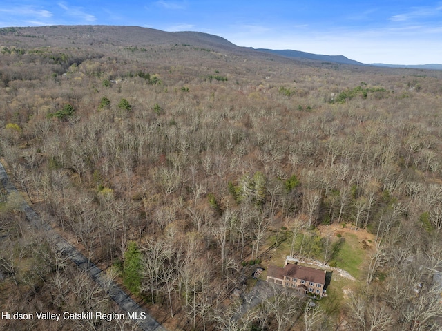 108 Wilkins Rd, Shawangunk, NY 12566 - photo 22