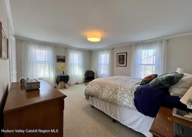 carpeted bedroom with crown molding and multiple windows