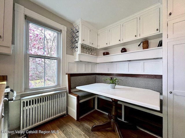 dining space with radiator heating unit, plenty of natural light, and dark wood-style flooring
