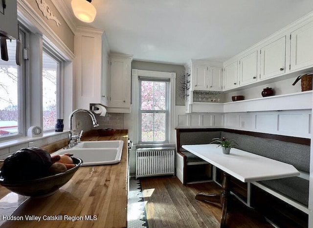 kitchen with a sink, dark wood finished floors, white cabinetry, radiator heating unit, and decorative backsplash