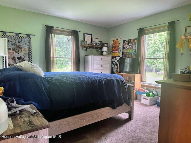 23 Maple Ln, Copake Falls, NY 12517 - photo 21