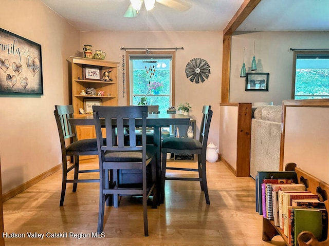 23 Maple Ln, Copake Falls, NY 12517 - photo 17