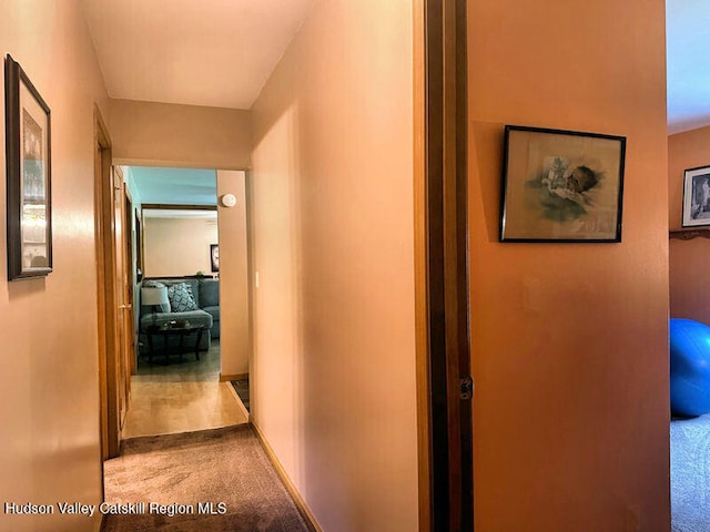 23 Maple Ln, Copake Falls, NY 12517 - photo 23