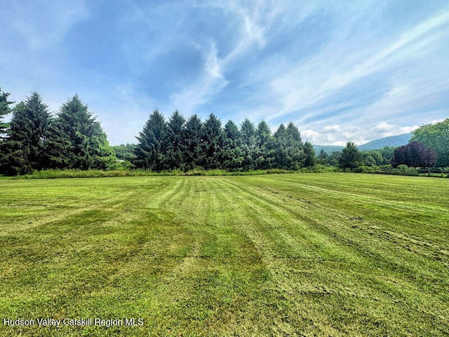 23 Maple Ln, Copake Falls, NY 12517 - photo 7