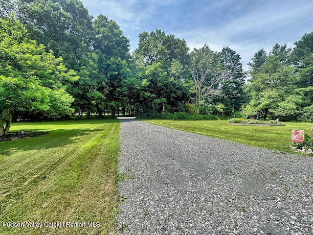 23 Maple Ln, Copake Falls, NY 12517 - photo 29