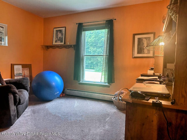 23 Maple Ln, Copake Falls, NY 12517 - photo 22