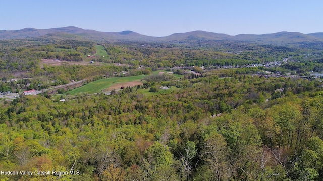 3 Rockledge Rd, Windham, NY 12496