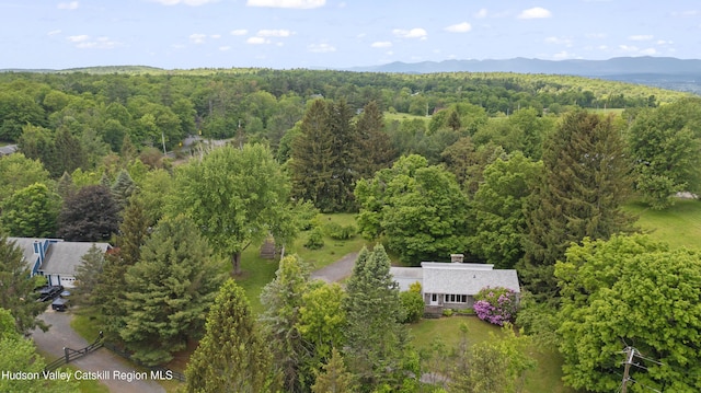 85 Summit St, Philmont, NY 12534 - photo 18