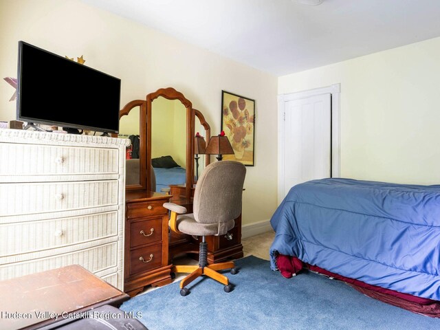 4217 Rte 9w, Saugerties, NY 12477 - photo 31