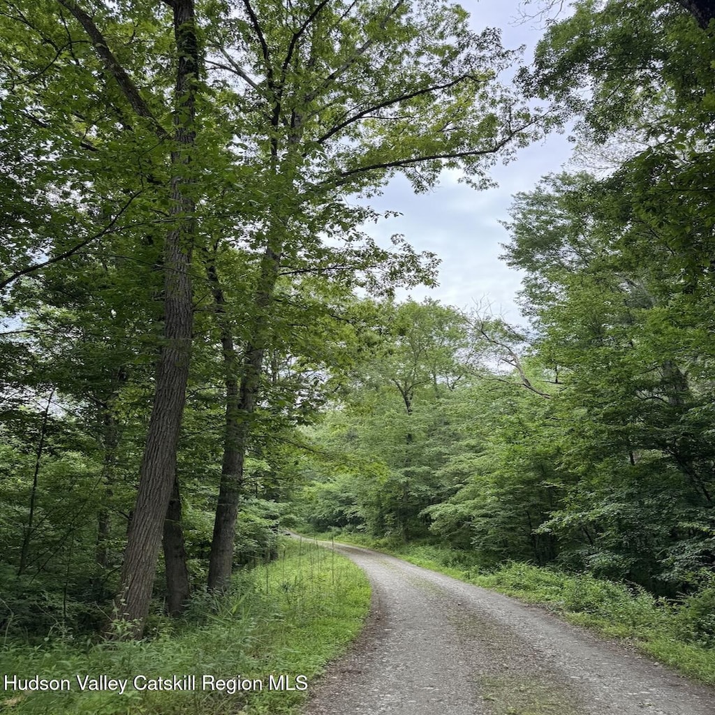 0 White Barn Rd, Copake, NY 12516 - photo 1