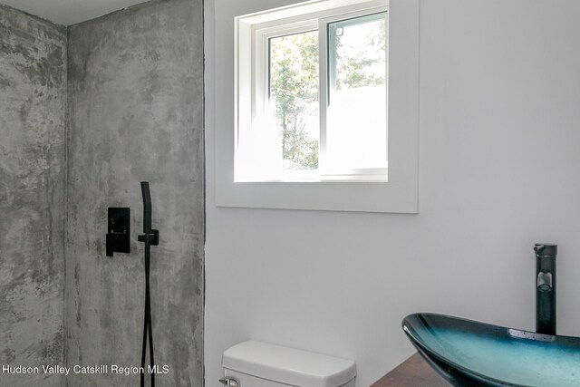 bathroom with toilet and sink