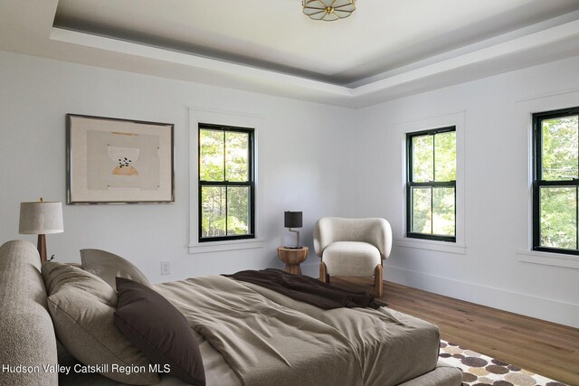 bedroom with a tray ceiling and hardwood / wood-style flooring