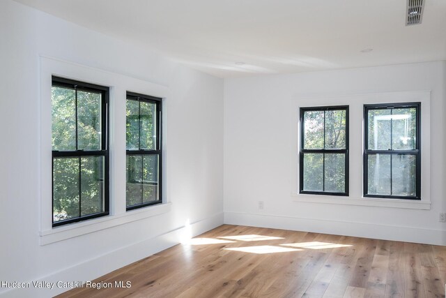 unfurnished room featuring light wood-type flooring and a wealth of natural light