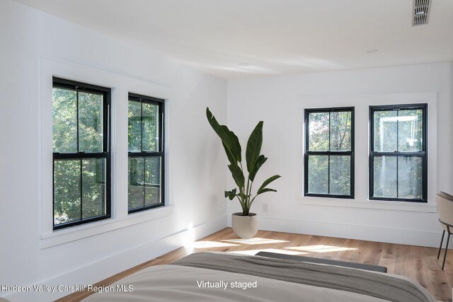 bedroom with multiple windows and wood-type flooring