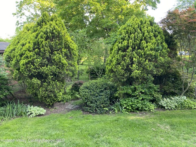 206 Riverside Dr, Malden On Hudson, NY 12453 - photo 86