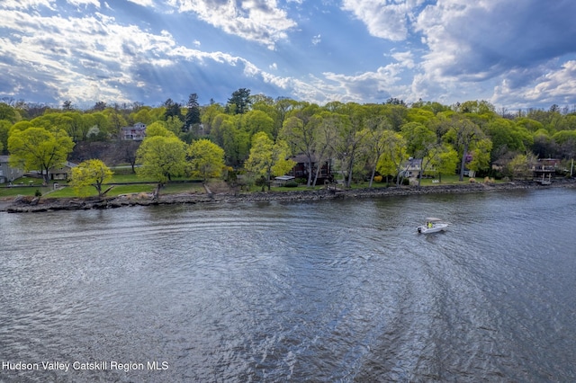 206 Riverside Dr, Malden On Hudson, NY 12453 - photo 51
