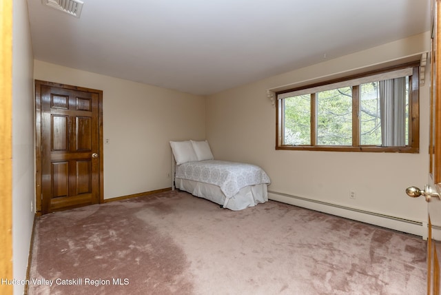 206 Riverside Dr, Malden On Hudson, NY 12453 - photo 43