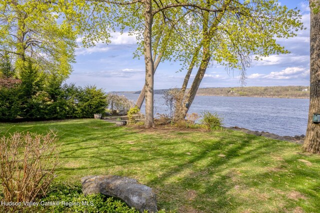 206 Riverside Dr, Malden On Hudson, NY 12453 - photo 50