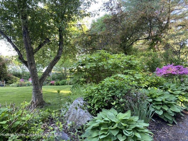 206 Riverside Dr, Malden On Hudson, NY 12453 - photo 5