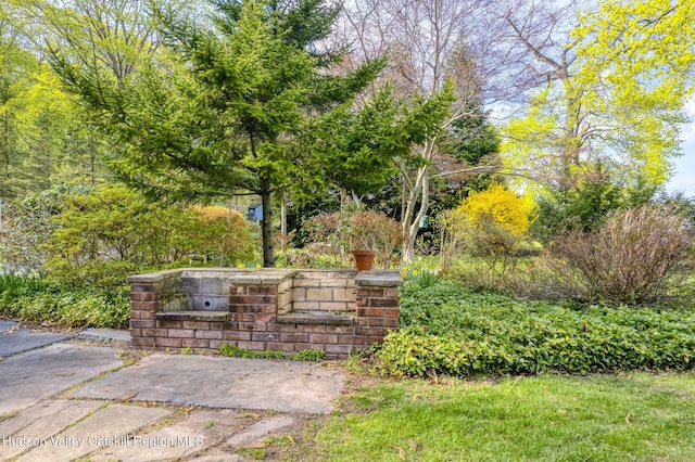 206 Riverside Dr, Malden On Hudson, NY 12453 - photo 49